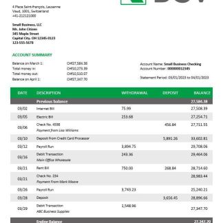 BCV Bank company account statement Word and PDF template download template file