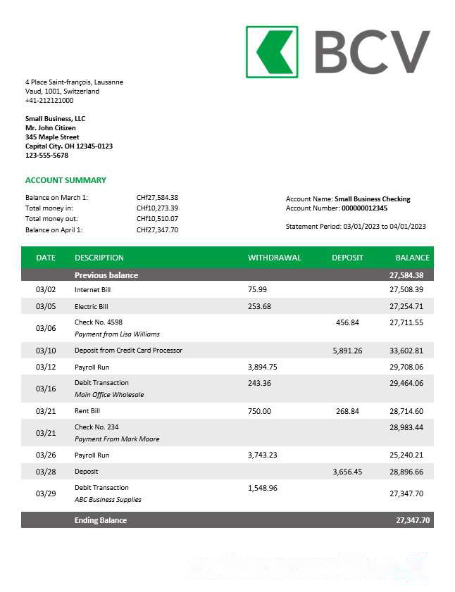 BCV Bank company account statement Word and PDF template download template file