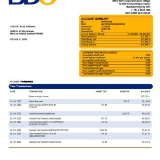 BDO Bank organization statement Word and PDF template download template file