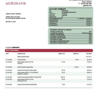 Agribank company statement Word and PDF template download template file