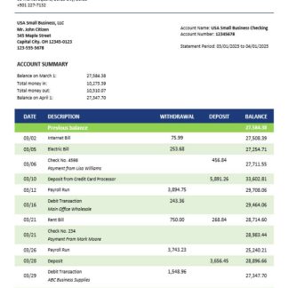 Belizean bank company checking account statement Word and PDF template download template file