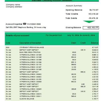 BGL BNP Paribas business checking account statement Word and PDF template scr download template file