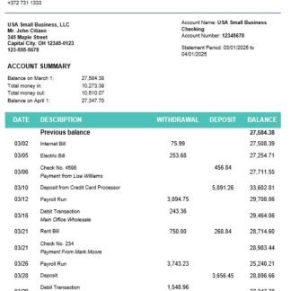 Bigbank firm account statement Word and PDF template download template file