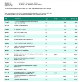 Agricultural bank of China business account statement Word and PDF template download template file