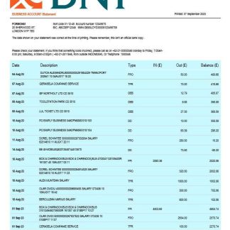BNI Bank firm statement Word and PDF template download template file