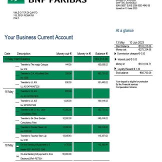 BNL Bank enterprise statement Word and PDF template download template file