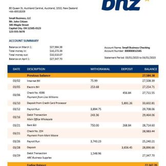 BNZ Bank organization account statement Word and PDF template download template file