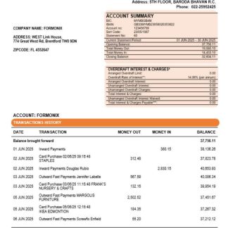Bob Bank of Boroda bank organization checking account statement Word and PDF template download template file
