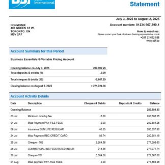 Bosna Bank firm account statement Word and PDF format download template file