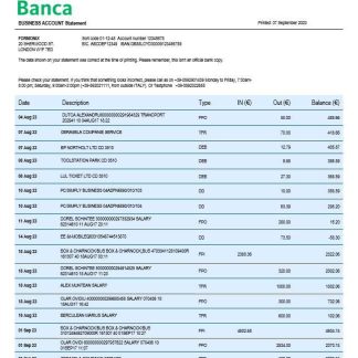 BPER Group organization statement Word and PDF template download template file