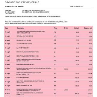 BRD Bank organization account statement Word and PDF template download template file