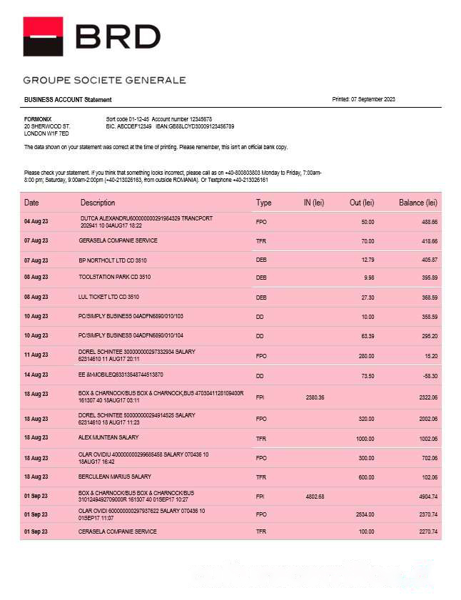 BRD Bank organization account statement Word and PDF template download template file
