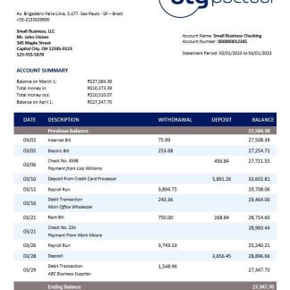BTG Pactual Bank business checking account statement Word and PDF template download template file
