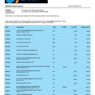 Burgan Bank enterprise account statement Word and PDF template download template file
