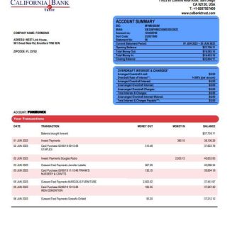 California Bank & Trust organization checking account statement Word and PDF template download template file