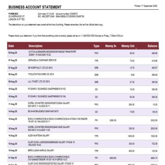 Canadian Money Mentors (MM) business organization checking statement Word and PDF format download template file
