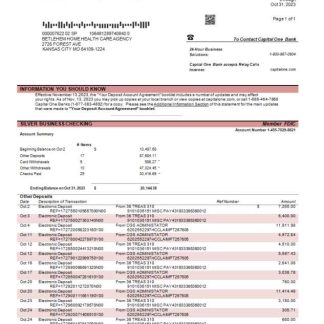 Capital One bank corporate account statement Word and PDF download template file