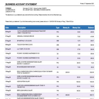 Caribbean Development bank firm account statement Word and PDF template download template file