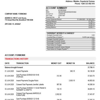 CCEI Bank business company account statement Word and PDF format download template file