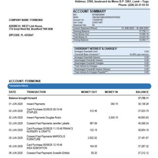 Central African Ecobank business bank organization account statement Word and PDF format download template file