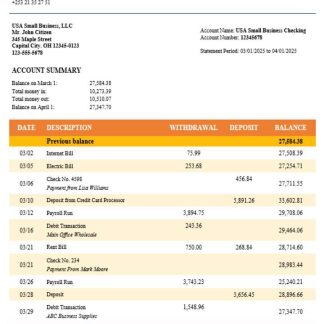 Central Bank of Djiboutian company checking account statement Word and PDF template download template file