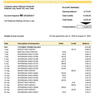 Central Bank of Ecuadorian organization checking account statement Word and PDF format download template file