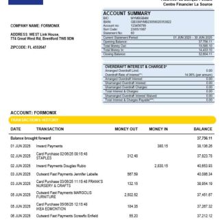 Centre National des Ch??ques Postaux company statement Word and PDF format download template file