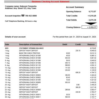 CFSB business firm statement Word and PDF format download template file