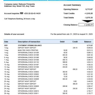 Chad Ecobank organization checking account statement Word and PDF template download template file