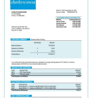 Charles Schwab business bank statement Word and PDF template download template file