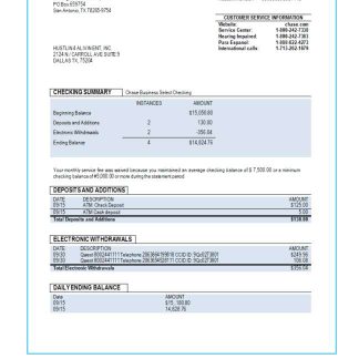 Chase bank business checking account statement Word and PDF template download template file