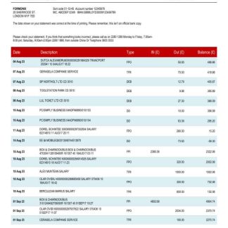 China Citic Bank corporate account statement Word and PDF template download template file