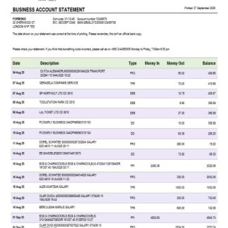 Al Arafah Islami Bank business account statement Word and PDF template download template file