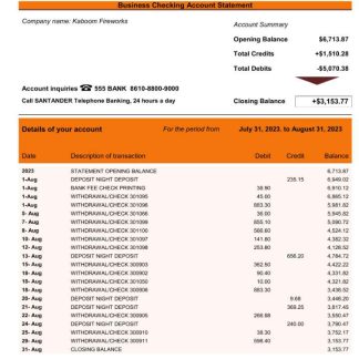 China Everbright Bank firm account statement Word and PDF template download template file