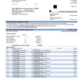China Minsheng Bank firm account statement Word and PDF template download template file