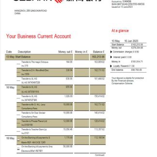 China Zheshang Bank business bank statement Word and PDF template download template file
