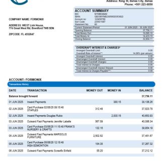 Choice Bank business firm statement Word and PDF format download template file