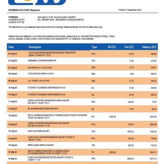 CIB Bank enterprise account statement Word and PDF template download template file