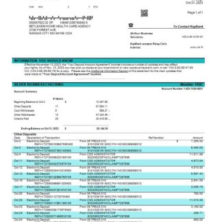 CIC Bank enterprise statement Word and PDF template download template file