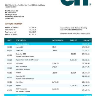CIT Bank business checking account statement Word and PDF template download template file