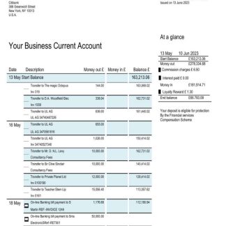 Citibank bank business account statement Word and PDF template download template file