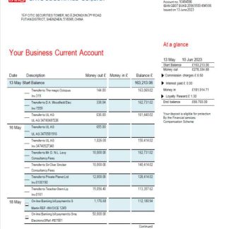 Citic Securities bank firm account statement Word and PDF template download template file