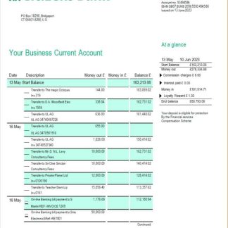 Citizens Bank firm statement Word and PDF template download template file