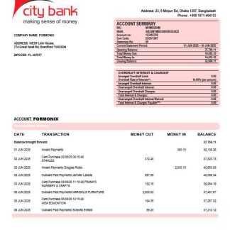 City Bank firm account statement Word and PDF template download template file