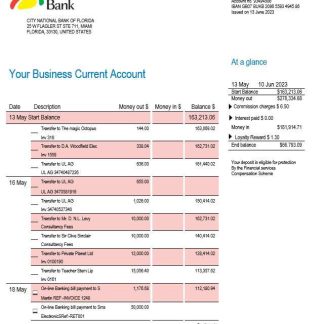 City National Bank of Florida firm account statement Word and PDF template download template file