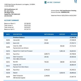City National Bank organization statement Word and PDF template download template file