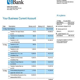 Columbia Bank enterprise account statement Word and PDF template download template file