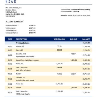Comoran Exim bank enterprise account statement Word and PDF format download template file