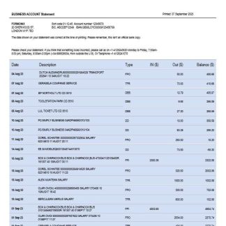 Compass Bank enterprise account statement Word and PDF template download template file