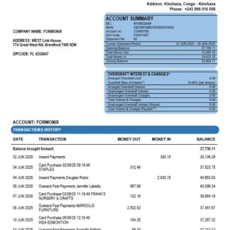 Congo Ecobank firm account statement Word and PDF template download template file